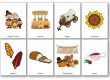 Flashcards de Thanksgiving