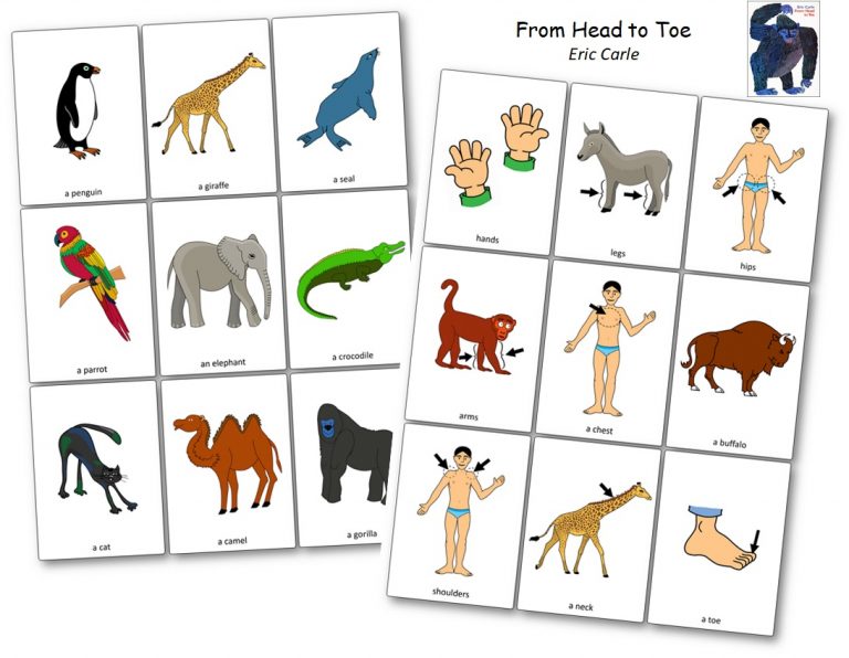 From Head to Toe d'Eric Carle - Activités et jeux à imprimer