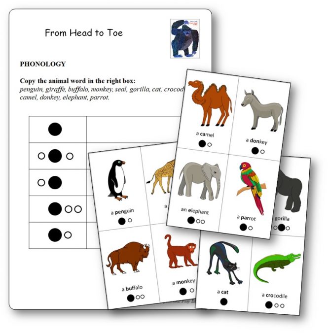 Phonologie From Head to Toe Prononciation noms des animaux
