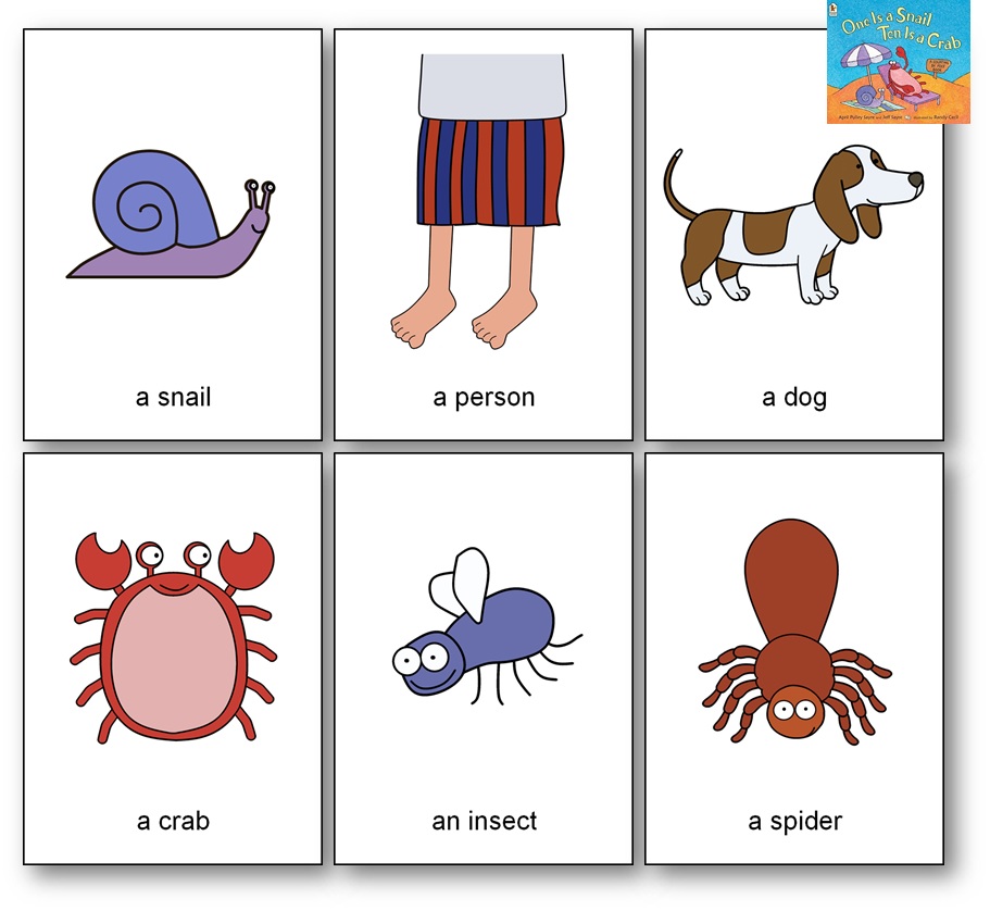 Imagier One is a Snail Ten is a Crab - Cartes de vocabulaire