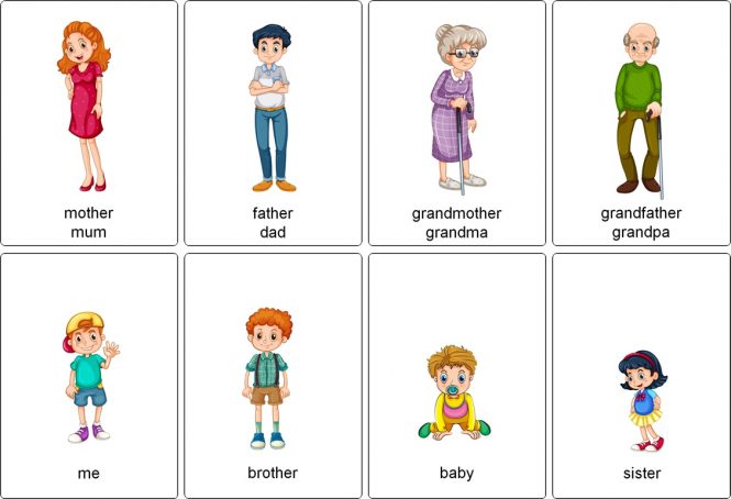 Imagier-flashcards-family-members-cycle-2 Imagier flashcards family members cycle 2 et cycle 3
