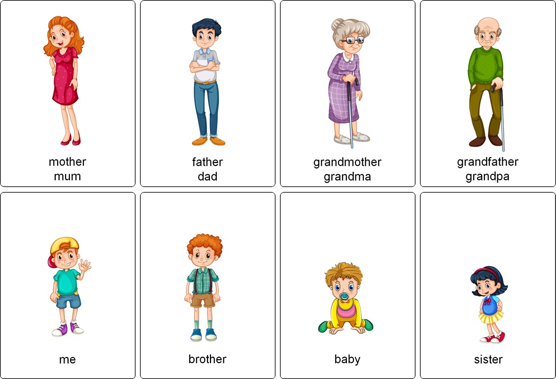 Les Membres De La Famille En Anglais Flashcards sur le vocabulaire de la famille en anglais - Imagier Family  Members cycle 2 et cycle 3